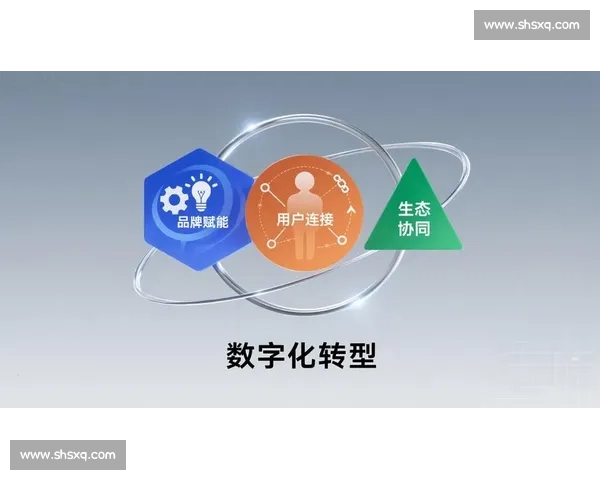 数字化转型背景下体育行业品牌策划创新路径与市场价值提升战略研究